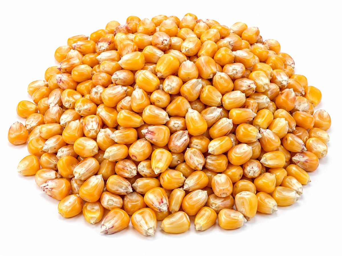 Food & Agricultural Commodities